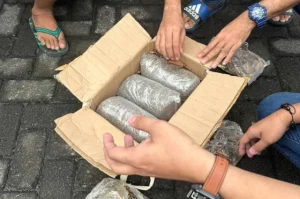 Kolaborasi Resmob Polda Sulut dan Polda Sulteng Ungkap Peredaran 3 Kilogram Ganja di Manado