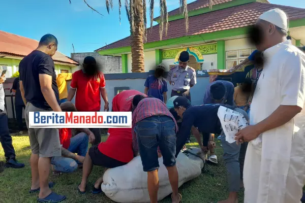Rayakan Idul Adha 1445 H, Lapas Amurang Potong 1 Ekor Sapi Kurban