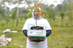 BRI Masuk Dalam Daftar CNBC Indonesia Green Business Ratings 2024