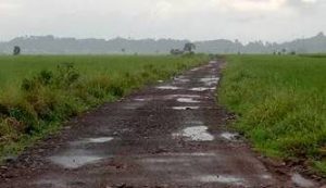 Jalan Sawah Desa Wolaang Bakal Mulus, Audy Wungkar Harap Dukungan Masyarakat
