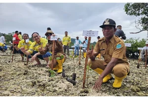 Peringati Hari Lingkungan Hidup, PT MSM-TTN Tanam Mangrove dan Lepas Penyu
