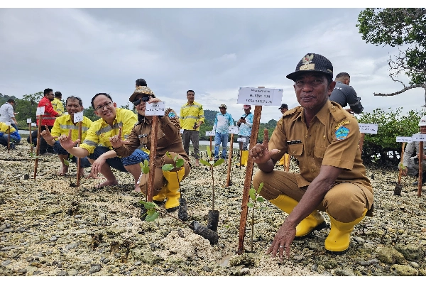 Peringati Hari Lingkungan Hidup, PT MSM-TTN Tanam Mangrove dan Lepas Penyu