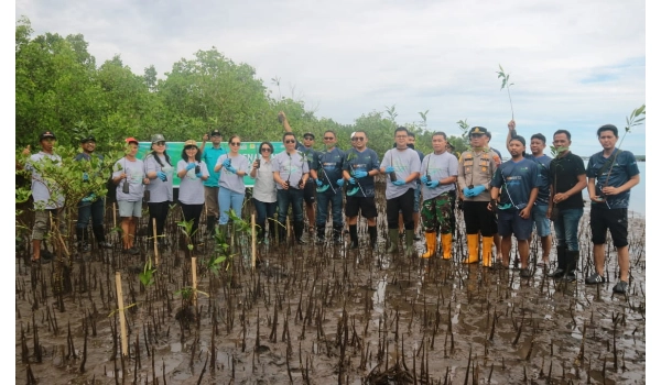 PLN UP2B Minahasa Gandeng GenPI Sulut Tanam 3.000 Mangrove di Desa Tiwoho