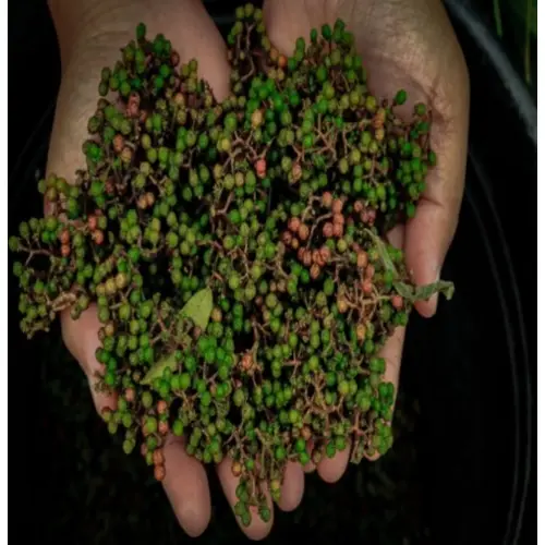 Petani Rempah di Danau Toba Naik Kelas Berkat KUR BRI