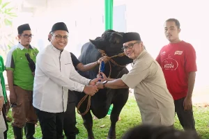 822 Ekor Hewan Kurban Disalurkan Pegadaian untuk Masyarakat Selama Idul Adha 1445 H