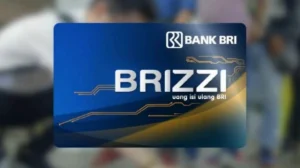 Hindari Kerepotan Saat Liburan, Mudahkan Pembayaran dengan BRIZZI