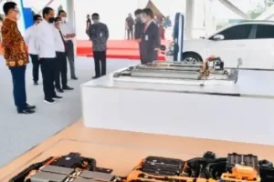Segudang Tantangan Mengadang Mimpi Indonesia Jadi Pemain Baterai EV Dunia