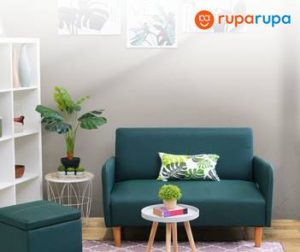 5 Posisi Tanaman Hias Terbaik di Dalam Ruangan