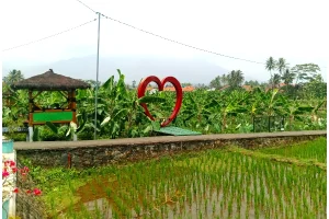 Sukses Gali Potensi Pertanian dan Wisata, Ini Cerita Cikaso, Juara 2 Desa BRILian