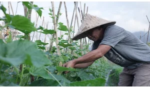 Mengenal Angseri, Desa BRILiaN dengan Tata Kelola Terbaik