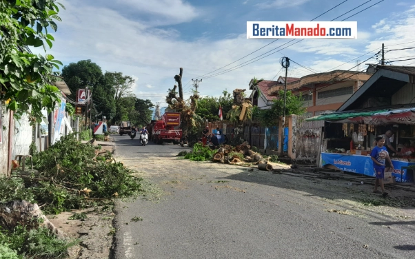DLH Manado Pangkas Pohon Menjulang
