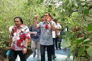 Joune Ganda Terpesona dengan Ekowisata Mangrove Park di Desa Wori