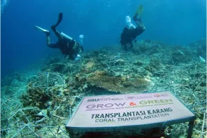 Mewujudkan Keuangan Berkelanjutan, BRI Perkuat Implementasi ESG