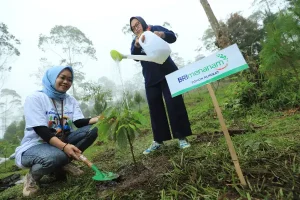 Dukung Net Zero Emission di 2050, BRI Laksanakan Berbagai Program Lingkungan
