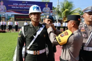 Awas Kena Tilang! Operasi Zebra Samrat 2024 Sasar Para Pelanggar Lalu Lintas