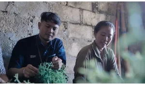 Pemberdayaan BRI Tingkatkan Skala Usaha Klaster Rumput Laut Semaya
