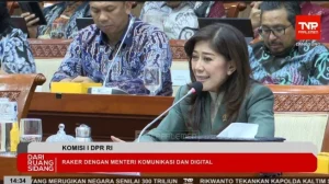 Prihatin Nasib Pekerja Media, Legislator NasDem Desak Komdigi Atur TikTok, FB, hingga Instagram