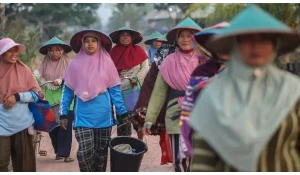 Berdayakan Perempuan, BRI Raih Penghargaan Indonesia Women’s Empowerment Principles Awards 2024