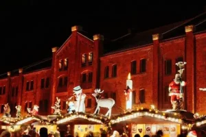 Jerman Pernah Diingatkan Oleh Arab Saudi Soal Pelaku Teror Pasar Natal Magdeburg