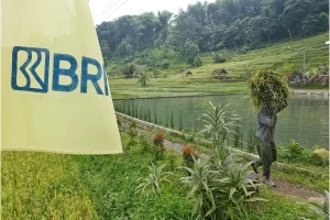 Bukti Berdayakan Ekonomi Kerakyatan, BRI Salurkan KUR Senilai Rp175,66 Triliun