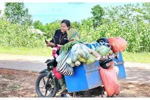 Upaya Tak Kenal Lelah BRI Berdayakan Kelompok Usaha Tanah Miring Merauke