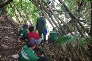 Peduli Keluhan Warga, Bupati Franky Wongkar Minta BKSDA Sulut Tangkap Buaya di Sungai Ranoyapo