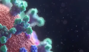 Kenali Gejala HMPV, Virus Pernapasan yang Mirip Flu