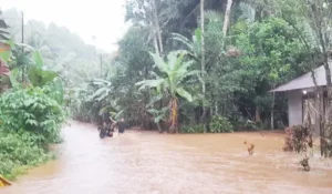 Banjir Bandang Kembali Terjang Desa Lesabe Lindongan II, Alpianus: Kiranya Ada Solusi Konkret dari Pemerintah