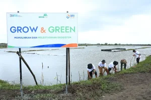 Grow and Green, Upaya Nyata BRI Bantu Pulihkan Ekosistem Lingkungan