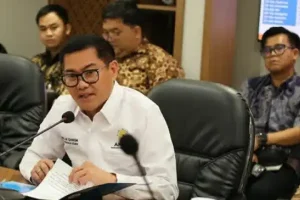 Begini Pandangan Joune Ganda Perihal Implementasi SIPD di Indonesia