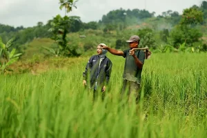 BRI Salurkan KUR Rp184,98 Triliun Kepada 4 Juta Pelaku UMKM di Tahun 2024