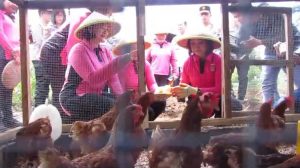 Jaga Ketahanan Pangan, Polda Sulut ‘Sulap’ Lahan Kosong Untuk Bertani Hingga Beternak
