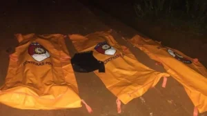 Polri Berduka! 3 Personil Tewas Mengenaskan Usai Gerebek Arena Judi Sabung Ayam di Bulan Suci Ramadhan, Berikut Identitas Terduga Pelaku