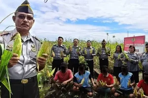 Lapas Amurang Panen Jagung Manis, Wujudkan Pembinaan Produktif
