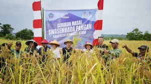 PT MSM Dukung Program Ketahanan Pangan, Turut Berkontribusi Cetak Sejarah Baru di Desa Wineru