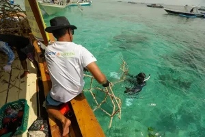 BRI Menanam Transplantasi Terumbu Karang, Jadi Ujung Tombak Pelestarian Ekosistem Laut di NTB