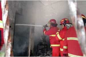 Petugas Damkar Manado Jadi Andalan, dari Urusan Api sampai Tangkap Ular
