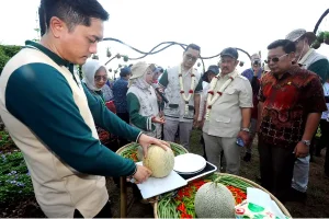 Dukung Swasembada Pangan, Ewindo Hadirkan Investasi Besar untuk Jawab Tantangan