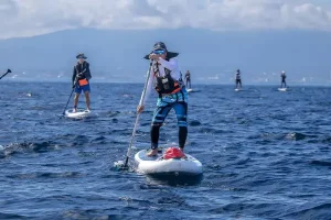 Stand Up Paddle; Hobi, Olahraga Wisata dan Prestasi