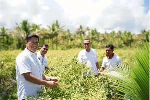 Dukung Essang Selatan Jadi Lumbung Rica Talaud, BI Sulut Bantu Sumur Bor dan Green House