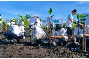 Telkom Indonesia Sumalut Tanam 1000 Mangrove di Pesisir Pantai Manado