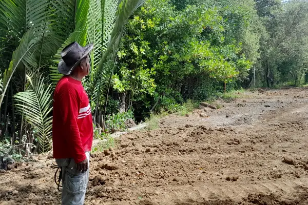 Desa Sondaken Bangun Wisata Mangrove