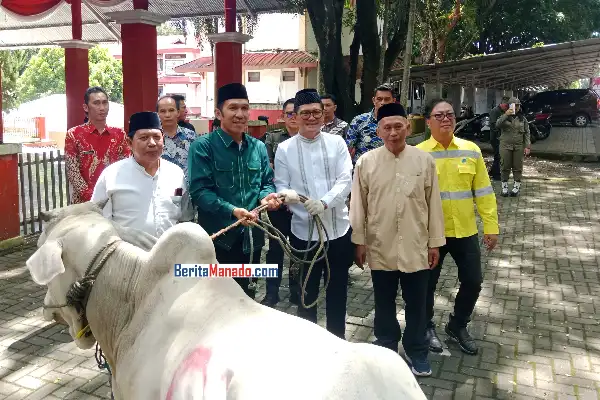 Tantangan Efisiensi, Pemkab Minut Berupaya Berbagi Hewan Kurban Idul Adha