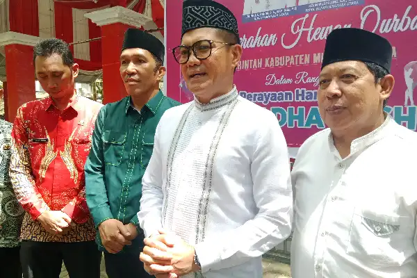 Tantangan Efisiensi, Pemkab Minut Berupaya Berbagi Hewan Kurban Idul Adha