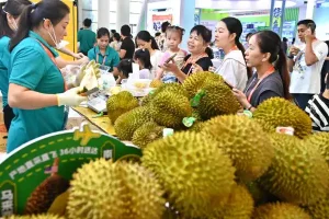Melihat Prospek Durian Indonesia di Pasar China yang Luas