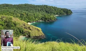 Gagasan Langit Biru, Laut Biru dan Daratan Hijau, Refleksi Ide Pembangunan Gubernur Yulius Selvanus 