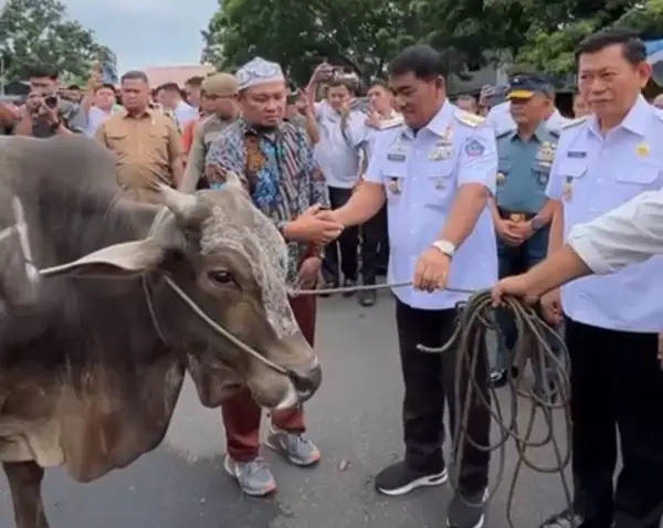 Gubernur Yulius Selvanus Serahkan 66 Ekor Hewan Kurban Dalam Rangka Idul Adha 1446 H