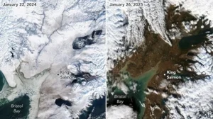 Es Alaska Mencair: Banjir Rob dan Krisis Pangan Mengintai Indonesia