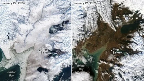 Es Alaska Mencair: Banjir Rob dan Krisis Pangan Mengintai Indonesia