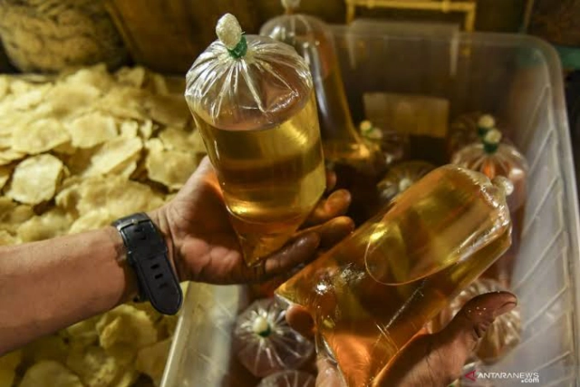 Minyak Kelapa: Potensi Ekonomi Besar dan Tantangan Kepercayaan Konsumen